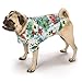 Casual Canine Hawaiian Breeze Camp Shirt for Dogs, 24