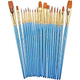 Paint Brush Set by heartybay, 20 pcs Nylon Hair Brushes for Acrylic Oil Watercolor Painting Artist Professional Painting Kits