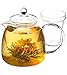 GROSCHE Munich Glass Infuser Teapot with included tea infuser, 1250 ml (42 fl oz) capcity