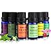 Tenswall Aromatherapy 6 Essential Oils 100% Pure Therapeutic Grade Basic Sampler 10 ml (Lavender,teatree,orange,peppermint,lemongrass,eucalyptus)