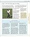 The Golf Instruction Manual