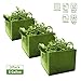 Cesun Square Grow Planter Bag Premium 400 Gram Thickened Fabric Smart Pots 6 Gallon Aeration Fabric Cube with X Stitching Reinforced Handles (6 Gal Green Cube)