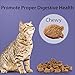 Emerald Pet Feline Health Chews Hairball Support — Natural Grain Free Feline Hairball Control Chews — Hairball Control Cat Supplements for Hairball Prevention and Elimination — Made in USA, 2.5 oz