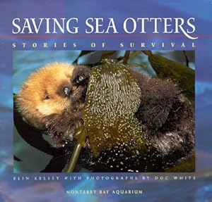 Saving Sea Otters Stories Of Survival Elin Kelsey New