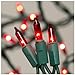 Holiday Wonderland 4003-88 Mini Light Set, Red, 100-count