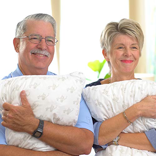 MyPillow Classic Series [Std/Queen, Firm Fill] Pricepulse