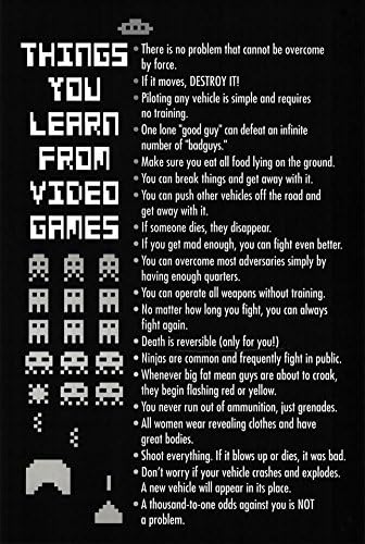 Things You Learn from Video Games Poster Print 23 x 34in with Poster Hanger
