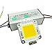 GLW Waterproof 50W LED Driver Power Supply Barretter and 3000k Warm White Led Chip Bulb DIY
