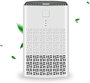 YUEMIDAMY Air Purifier for Home with True HEPA Filters, 2020 Upgraded Low Noise Portable Air Purifier Mini USB Air Cleaner for Home Bedroom Office Desktop Baby Room Small Pet Room