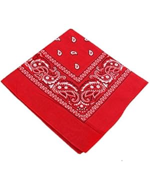 Paisley One Dozen Cowboy Bandanas