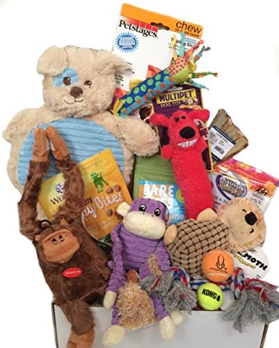 Woof! Doggie Gift Box, Treat &amp; Play, For Puppies
