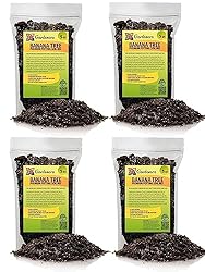 Gardenera Banana Tree Potting Mix