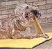 Downtown Pet Supply - Monster Yak Cheese Himalayan Dog Chews & Braided Bully Stick Dog Treats - Dog Dental Care & Plaque Remover for Teeth - Rawhide Free Dog Chews - Zinc, Calcium, Vitamin D - 2pk