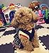Kailian Dog Cowboy Dress Lovely Cute Dog Doggie Puppy Summer Clothes Dog Denim Skirt Medium