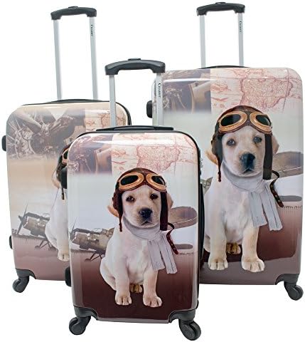 chariot luggage dog