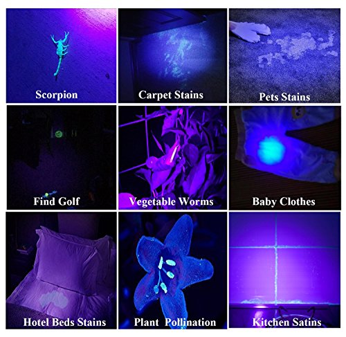 image for GLBSUNION UV Flashlight Black Light UV Lights , 68 LED 395 NM Ultravio