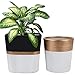 LA JOLIE MUSE Ceramic Modern Flower Pots Indoor – 5.5 Inch Pack 2 Round & Square Herb Orchid Cactus Succulent Planter Pots with Drainage Hole and Gold Detailing