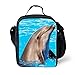 HUGS IDEA Funny Dolphin Print Lunch Bags with Zipper for Kids