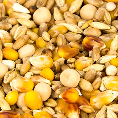 Leimüller Taubenfutter Classic 25 kg - Allroundfutter für alle Rassen - Artgerechtes Futter ohne GVO und Staub – Bild 3