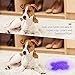 Cymas UV Flashlight, 12 LED Ultraviolet Blacklight Urine and Scorpion Detector for Pets, Torch to Find Dry Stains on Carpets//Rugs/Floor