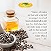 Pure Organic Castor Oil Cold Pressed - Strengthening Moisturizer for Dry Skin & Hair. Eyelash & Eyebrow Hair Growth Treatment. Acne Reducer, Shampoo and Massage Oil Products