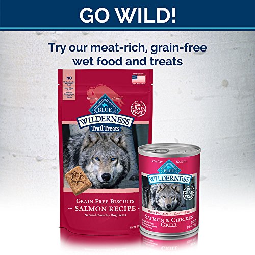 Blue Buffalo Wilderness Grain Free Dry Dog Food, Salmon Recipe, 4.5-Pound Bag
