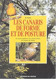 Les  canaris de forme et de posture