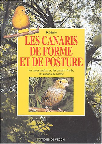 Les  canaris de forme et de posture