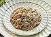 Earthborn Holistic Chicken Catcciatori Grain-Free Moist Cat Food 3 oz Can