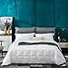 Globon White Goose Down Comforter/Blanket King Lightweight Summer, Real Silent&Soft Down-Proof Shell, 400 Thread Count Hypoallergenic, 18OZ, 700 Fill Power, with Ties, Solid White.