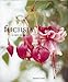 Fuchsia (A Care Manual) by