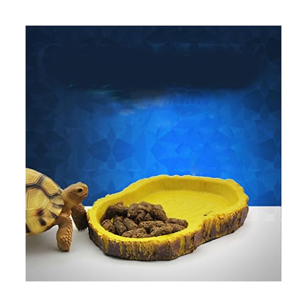 Alimentazione Rettile Resina Acqua Alimento Ciotola Piatto Pet Vivaio Tartaruga Geco Serpente