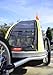Allen Sports Premier 2-Child Aluminum Bike Trailer/Racing Stroller, Green/Grey