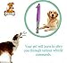 Set of 2 Dog Training Whistles with Lanyard, Adjustable Pitch, Obedience, Barking & Training Aid (Purple)