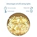 String Lights Moniko with Remote Copper Wire Lights Indoor or Outdoor Christmas Lights for Bedroom Garden Patio Wedding Christmas Tree Party Waterproof 100 LEDs 33 ft with Power Adapter (Yellow)