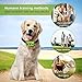 [ 2019 Newest ] Dog Bark Collar,  7 Adjustable Sensitivity and Intensity Levels – Dual Anti-Barking Modes-Rechargeable – Rainproof No Barking Control Dog shock Collar for Small, Medium, Large Dogsthumb 4