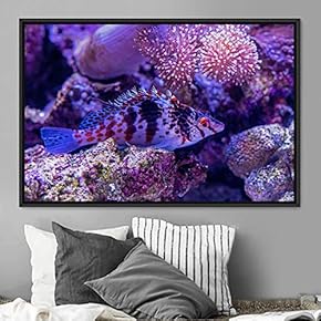 signwin Framed Canvas Wall Art Deep Under Group...