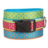 East Side Collection Nylon Polka Dot Dog Collar, 6-10-Inch, Raspberry