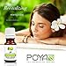 Lime Essential Oil 10 ml (0.33 fl. Oz.) - GCMS Tested, 100% Pure, Undiluted and Therapeutic Grade