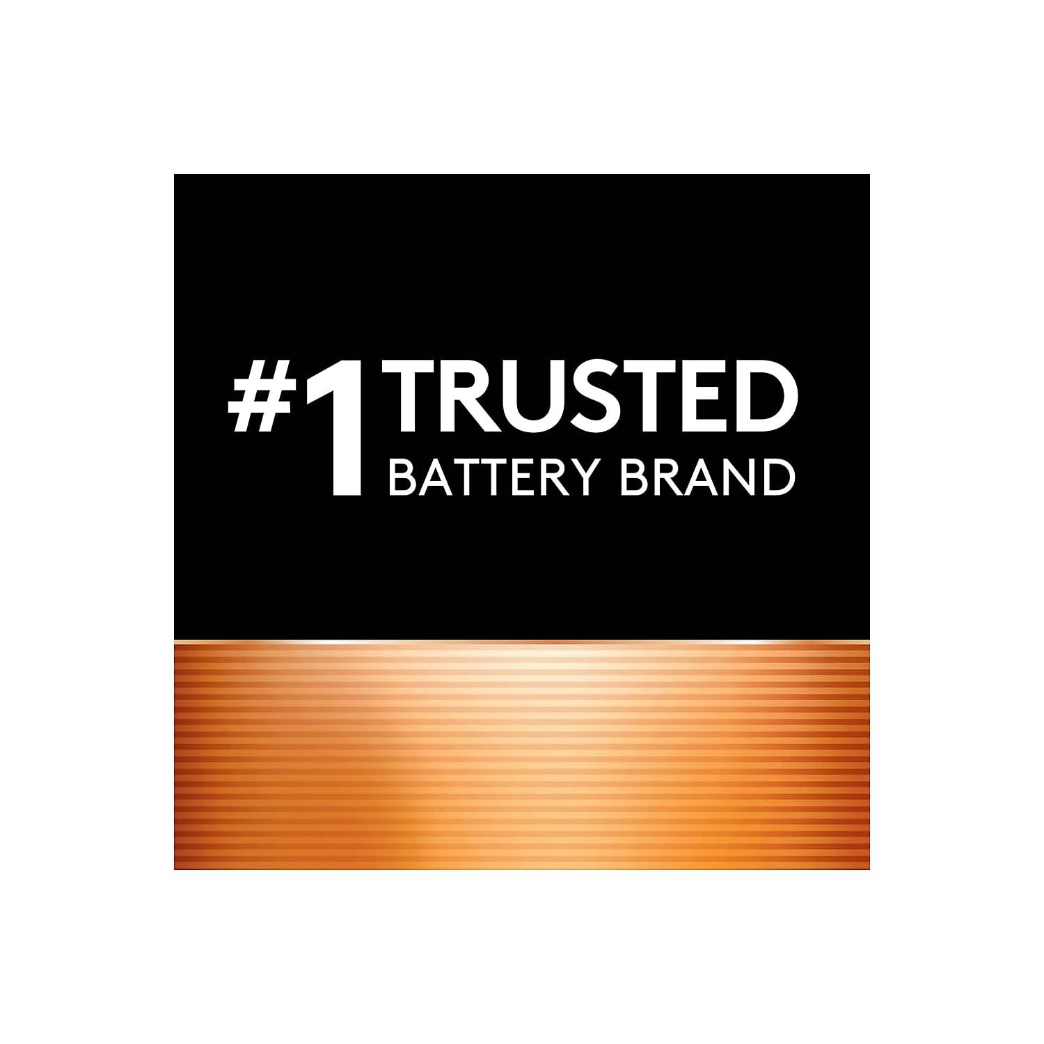 Duracell Coppertop 9V Battery, 2 Count Pack, 9-Volt Battery with Long-lasting Power, All-Purpose Alkaline 9V Battery for Household and Office Devices