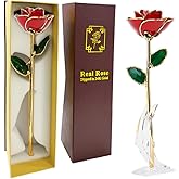 Gold Dipped Rose - Dipped 24K Gold Real Rose - Genuine One of a Kind - Eternal Romantic Present for Her - Best for Valentine's Day, Mother's Day, Anniversary, Birthday (Red)