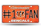 Rico NFL Number One Fan License Plates