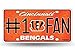 Rico NFL Number One Fan License Plates