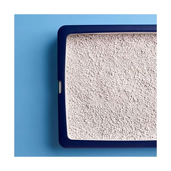 Catsan-Hygiene-Plus-Cat-Litter-with-White-Hygiene-Granules-To-Prevent-Odours-20-L Catsan Hygiene Cat Litter 20L