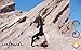 Women's InTouch Organics Made in The USA Non-GMO Organic Cotton Spandex Leggings