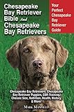 Chesapeake Bay Retriever Bible and Chesapeake Bay Retrievers: Your Perfect Chesapeake Bay Retriever by Mark Manfield