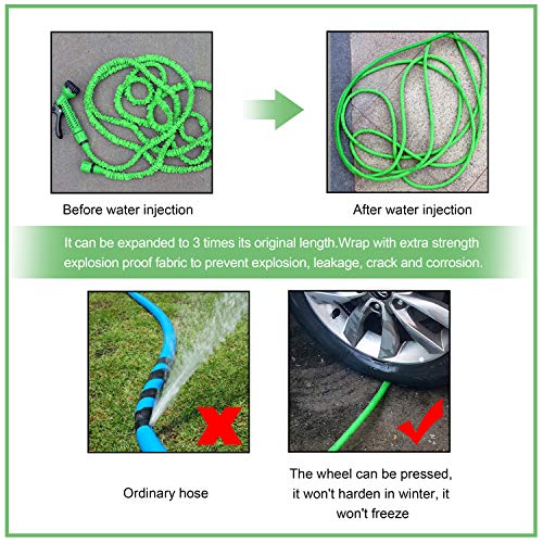 BeeTwo Garden Water Hose, 50 Feet Expandable Garden Hose Set, Double Latex Core with 3/4" Solid Connectors for Home, Garden, Car Washing & Heavy Duty (Green)