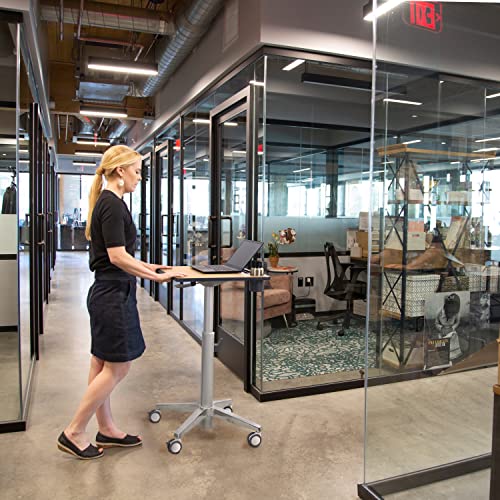 Ergotron Mobile Standing Desk, Rolling Laptop Sit Stand Desk 16