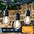 Brightech Ambience Pro LED Outdoor Weatherproof Commercial Grade String Lights, WeatherTite Technology