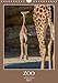 Zoo Animaux Sauvages 2017 (Calvendo Animaux) (French Edition) by 